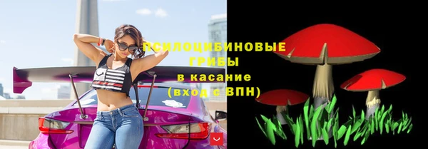 СК Кинешма