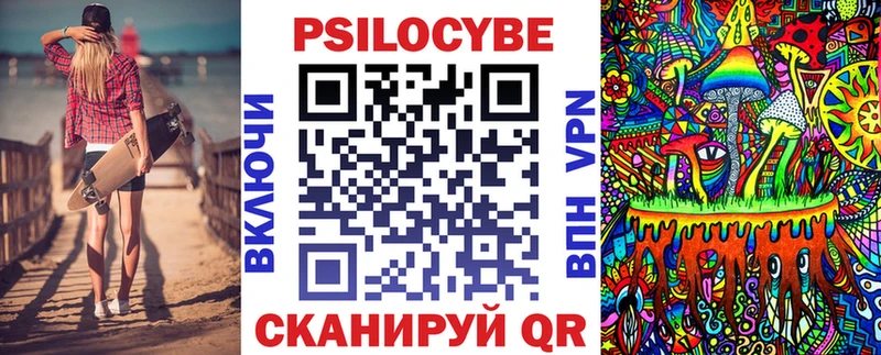 Купить закладки  Нефтегорск  Псилоцибиновые грибы Psilocybe 